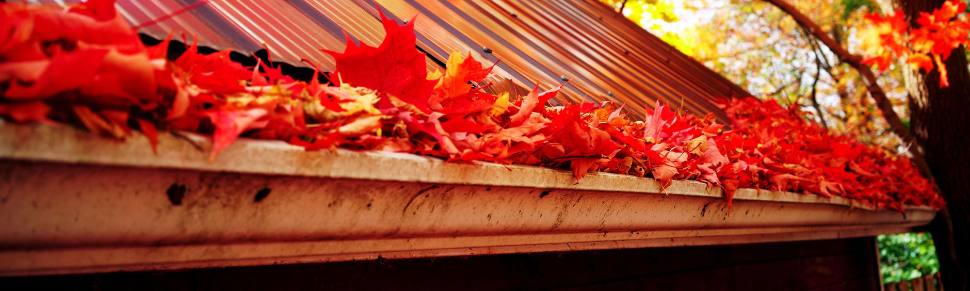 gutter cleaning pm roofing gutter cleaning pm roofing