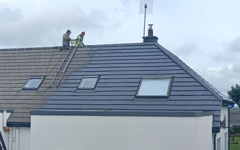 Roof Cleaning & Sealing